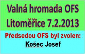 Valná hromada OFS 7.2.2013