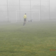 Louňovice  - Štětí 5:0  17.11.2013