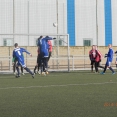 Dobrovice - Štětí 7:1   18.1.2014