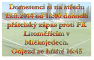 Dorostenci se dostávají do zápasového tempa