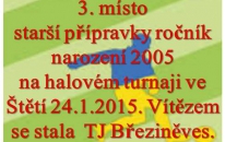 Setkání mladší přípravky r.2005 v hale Vyšší odborné školy ve Štětí 24.1.2015