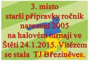 Setkání mladší přípravky r.2005 v hale Vyšší odborné školy ve Štětí 24.1.2015