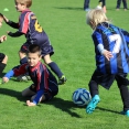 Hvězdy štětského fotbalu si to rozdaly se svými soupeři na turnaji mladší přípravky ve Štětí dne 11.10.2015
