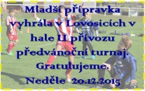 Za účasti 6 mužstev se 20.12. na halovém turnaji mladší přípravky v Lovosicích hrálo systémem každý s každým. Naši nejmenší fotbalisté neokusili ani jednou hořkost porážky a zaslouženě vyhráli.