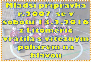 Přípravka r.2007 se v sobotu 13.2.2016 úspěšně představila na turnaji v Litoměřicích