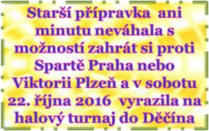 Starší přípravka na turnaji v Děčíně 5x vyhrála a 1x prohrála. Skončila na 10. místě. Zahráli si proti silným týmům a všem byla zcela vyrovnaným soupeřem. 