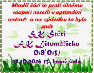 V posledním domácím letošním zápase mladší žáci nebodovali.