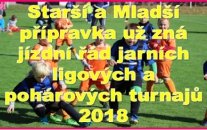 Starší přípravka bude hrát na jaře v semifinálové skupině o postup do finále. V pohárech hraje starší i mladší přípravka o umístění.  