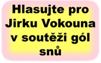 Hlasujte pro Jirku Vokoun a- nejhezčí gól minulého týdene
