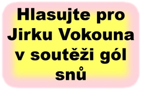 Hlasujte pro Jirku Vokoun a- nejhezčí gól minulého týdene