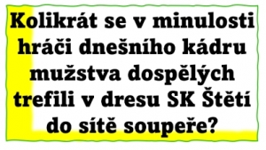 251 branek nastříleli současní hráči mužstva dospělých  pod hlavičkou SK Štětí v kategorii dospělých.