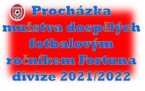 Od začátku až do konce si můžete přečíst jaký byl fotbalový rok 2021/2022  mužstva dospělých ve Fortuna Divizi.