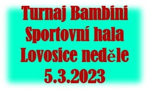 Neděle dopoledne 5.3.2023 patřila štětským elévům. Fotbalové naděje vyrazily do Lovosic, kde se v pěkné sportovní hale utkaly s okresními soupeři.