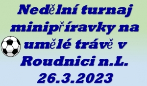 Krásné 4. místo obsadila minipřípravka na venkovním turnaji na umělé trávě v Roudnici.