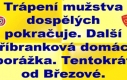 SK Štětí – FK Olympie Březová 0:3(0:2)   23. kolo Fortuna divize dospělých 20. 4. 2024 