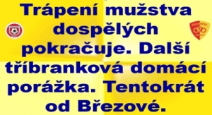 SK Štětí – FK Olympie Březová 0:3(0:2)   23. kolo Fortuna divize dospělých 20. 4. 2024 