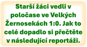 Sokol Velké Žernoseky – SK Štětí 7:1(0:1) 30. kolo starší žáci okresní přebor 15. 06. 2024