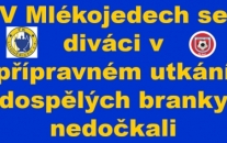 FK Litoměřicko – SK Štětí 0:0 Přátelský zápas dospělých  Sobota 27. 7. 2024 hřiště Mlékojedy