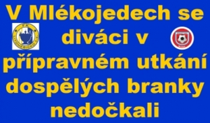 FK Litoměřicko – SK Štětí 0:0 Přátelský zápas dospělých  Sobota 27. 7. 2024 hřiště Mlékojedy