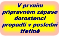 TJ Viktoria Vestec SK Štětí 7:1 (2:1, 0:0,5:0) Středa 14.8.2024 hřiště Roudnice n.L. Pod Lipou
