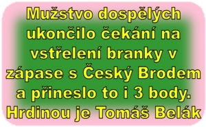 SK Štětí – SK Český Brod 1:0(0:0) 4. Česká fotbalová liga 2. kolo 17. 8. 2024
