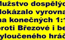 SK Štětí – FK Olympie Březová 1:1 (0:0) 8. kolo 4. České fotbalové ligy 28.9.2024