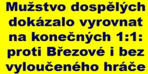 SK Štětí – FK Olympie Březová 1:1 (0:0) 8. kolo 4. České fotbalové ligy 28.9.2024